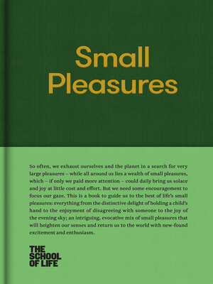 cover image of Small Pleasures